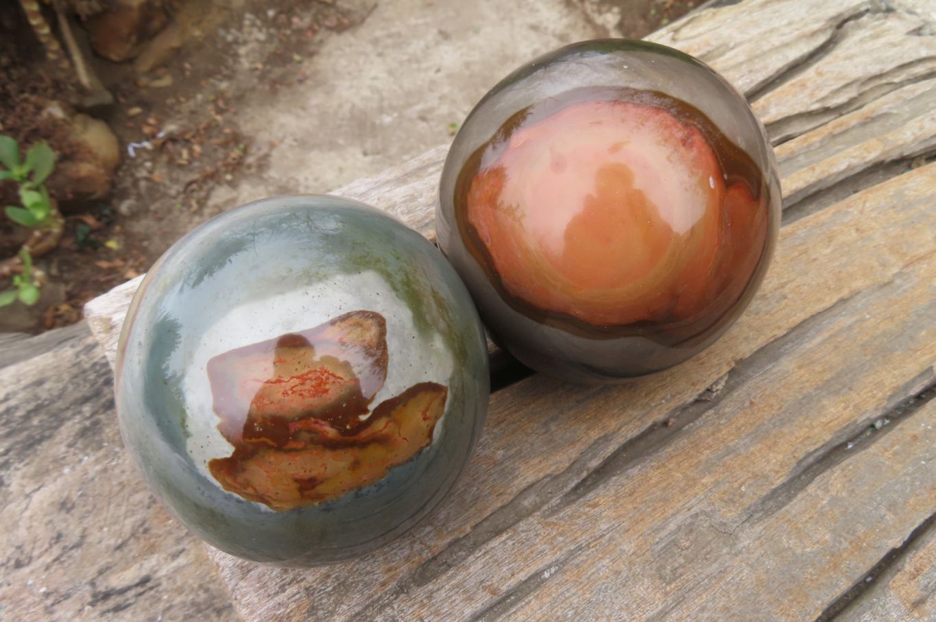 Polished Polychrome Jasper Sphere-Balls x 2 From Madagascar - Toprock Gemstones and Minerals 