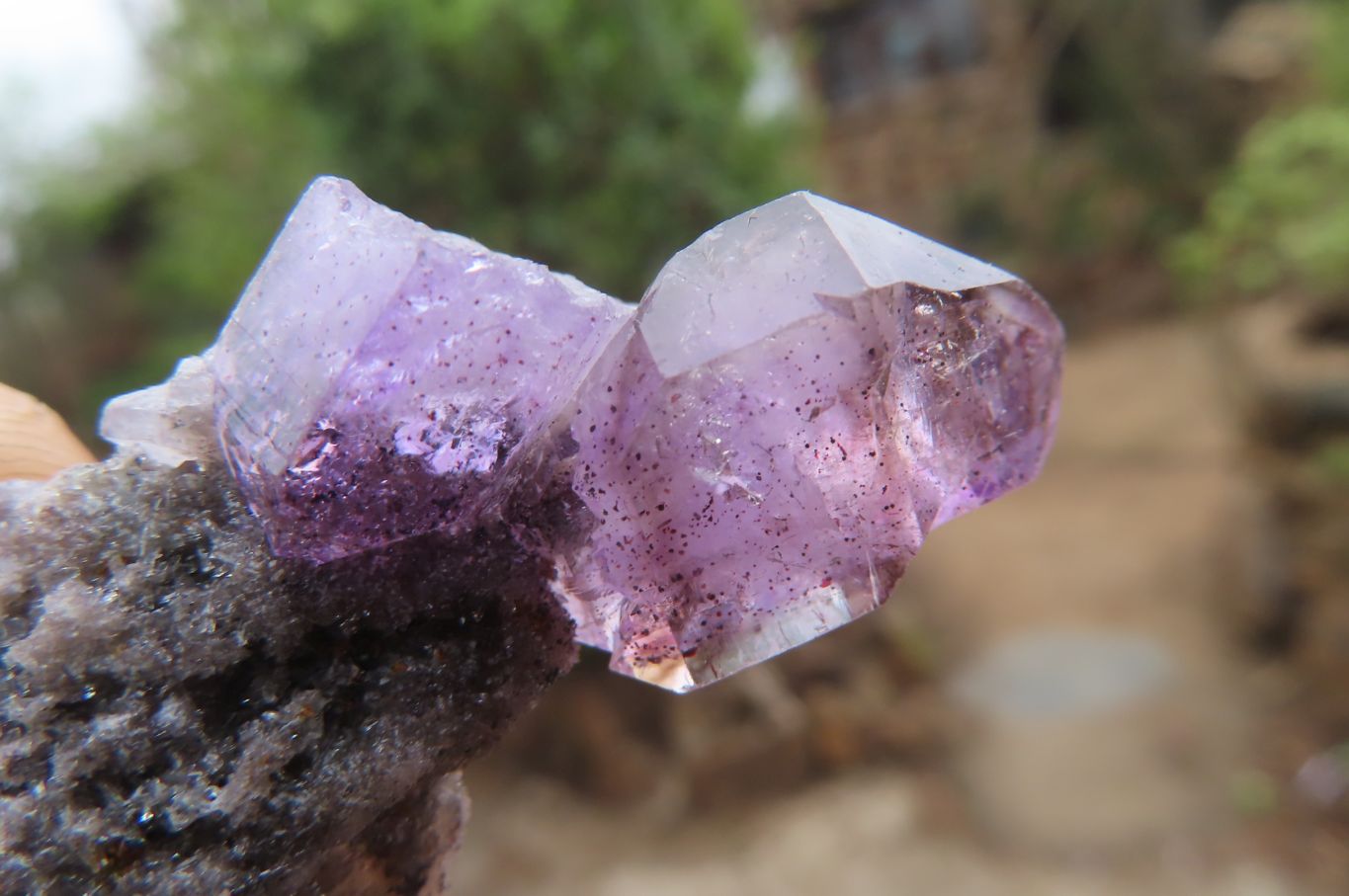 Natural Smokey Amethyst Crystals x 20 From Chiredzi, Zimbabwe - Toprock Gemstones and Minerals 