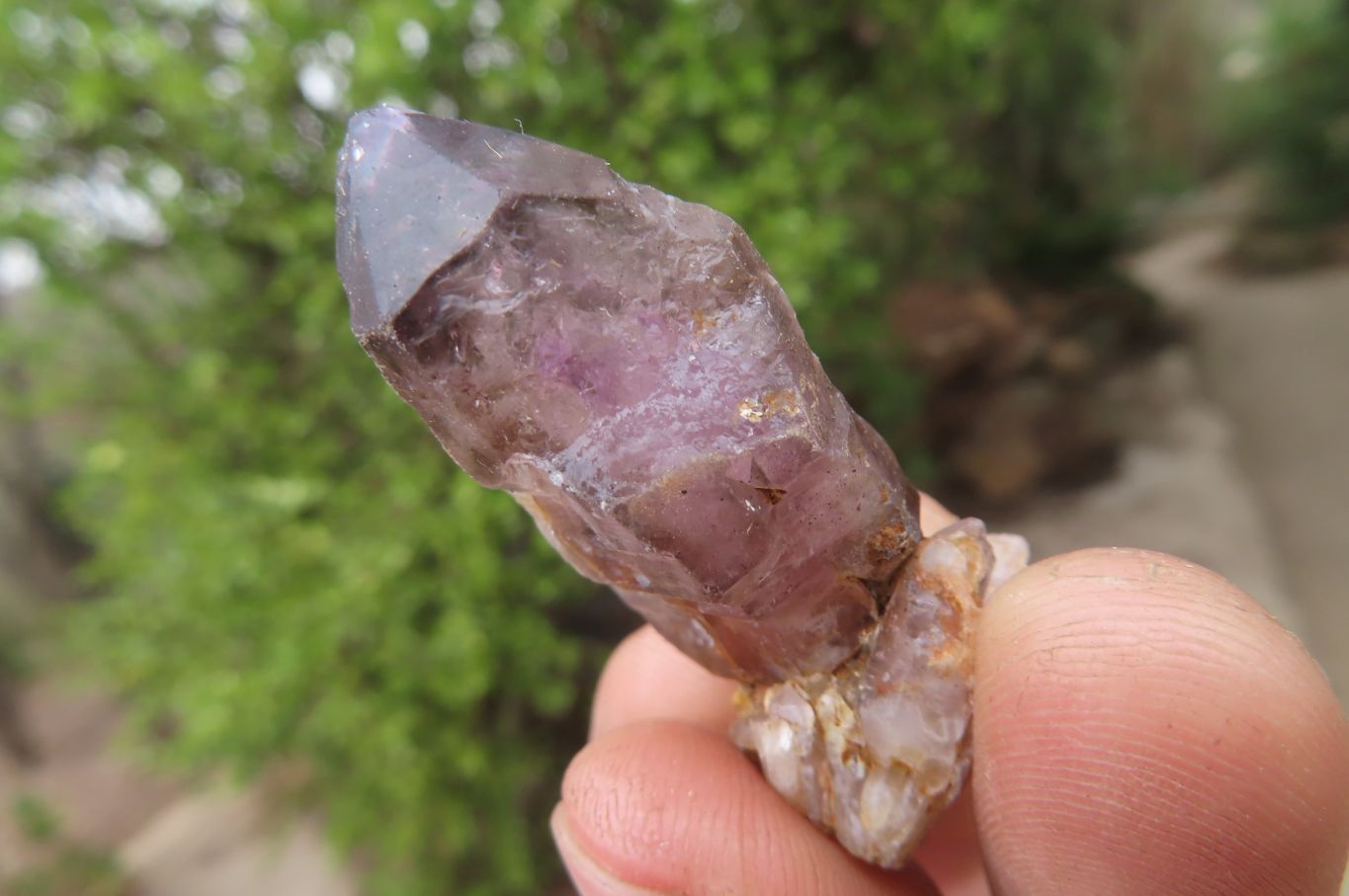 Natural Smokey Amethyst Crystals x 20 From Chiredzi, Zimbabwe - Toprock Gemstones and Minerals 
