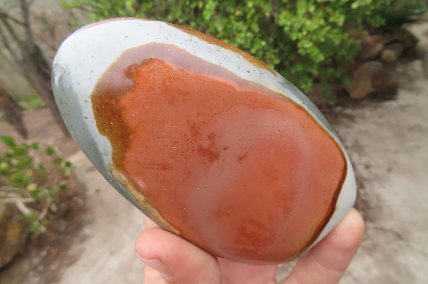 Polished Mixed Polychrome Jasper Items x 5 From Madagascar - Toprock Gemstones and Minerals 
