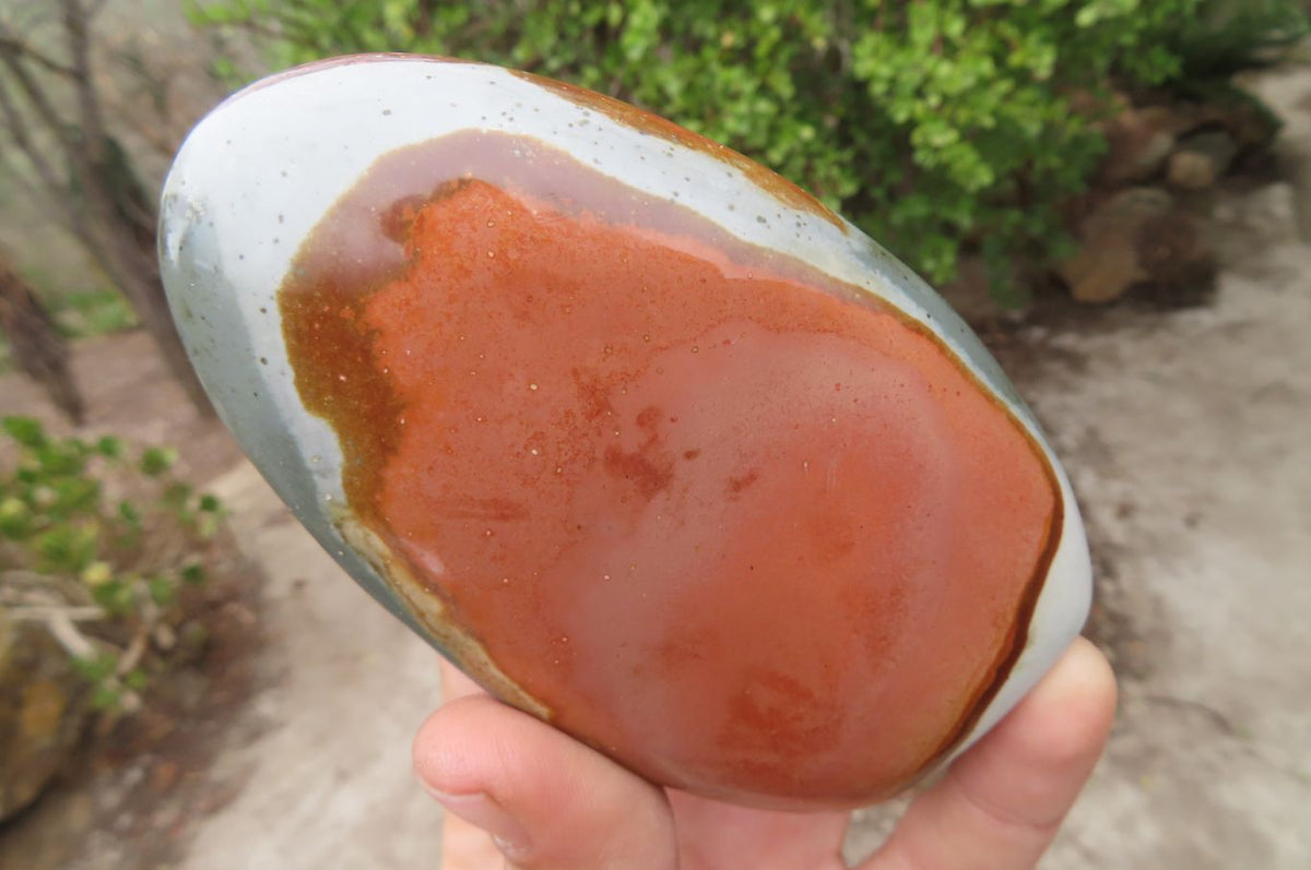 Polished Mixed Polychrome Jasper Items x 5 From Madagascar - Toprock Gemstones and Minerals 