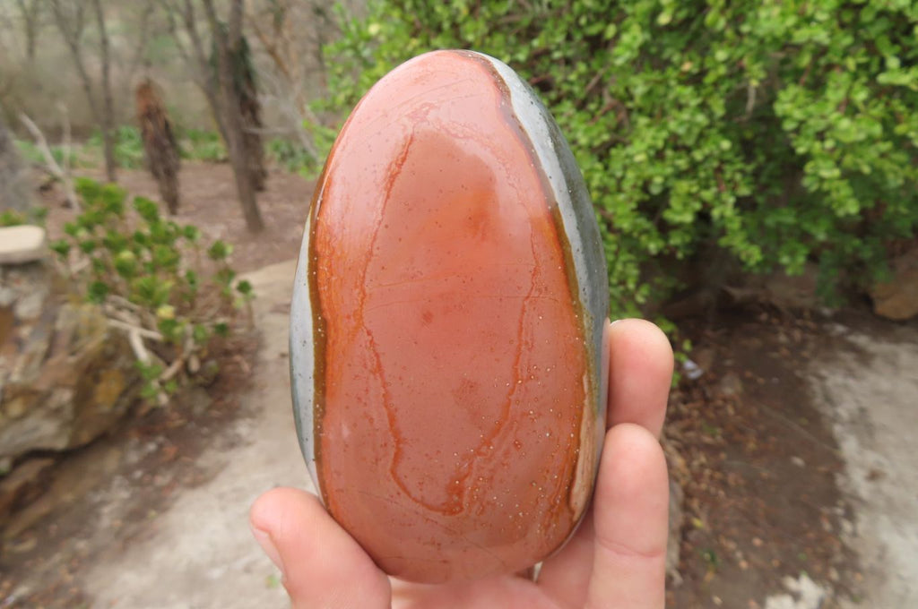 Polished Mixed Polychrome Jasper Items x 5 From Madagascar - Toprock Gemstones and Minerals 