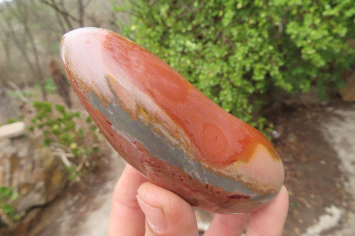 Polished Mixed Polychrome Jasper Items x 5 From Madagascar - Toprock Gemstones and Minerals 