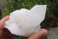 Natural Clear Quartz Clusters x 6 From Madagascar - Toprock Gemstones and Minerals 