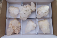 Natural Clear Quartz Clusters x 6 From Madagascar - Toprock Gemstones and Minerals 
