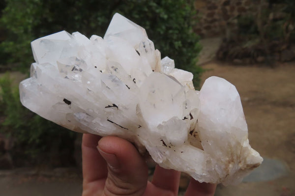Natural Clear Quartz Clusters x 6 From Madagascar - Toprock Gemstones and Minerals 