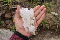 Natural Clear Quartz Clusters x 6 From Madagascar - Toprock Gemstones and Minerals 