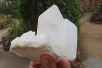 Natural Clear Quartz Clusters x 6 From Madagascar - Toprock Gemstones and Minerals 