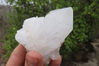 Natural Clear Quartz Clusters x 6 From Madagascar - Toprock Gemstones and Minerals 