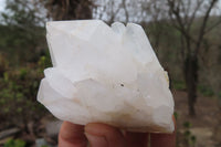 Natural Clear Quartz Clusters x 6 From Madagascar - Toprock Gemstones and Minerals 