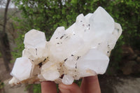 Natural Clear Quartz Clusters x 6 From Madagascar - Toprock Gemstones and Minerals 