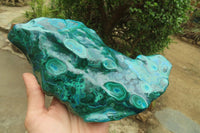 Polished Malacolla Free Form 1 x From Luputo Mine, Congo - Toprock Gemstones and Minerals 