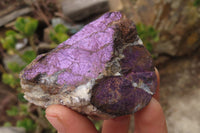Natural Metallic Purpurite Cobbed Specimens x 6 From Erongo, Namibia - Toprock Gemstones and Minerals 
