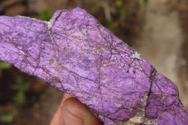 Natural Metallic Purpurite Cobbed Specimens x 6 From Erongo, Namibia - Toprock Gemstones and Minerals 