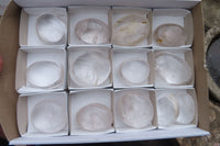 Polished Clear Quartz Galet-Palm Stones x 12 From Madagascar - Toprock Gemstones and Minerals 