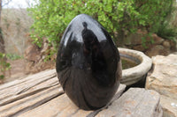 Polished Black Tourmaline Standing Free Form x 2 From Madagascar - Toprock Gemstones and Minerals 