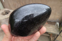 Polished Black Tourmaline Standing Free Form x 2 From Madagascar - Toprock Gemstones and Minerals 