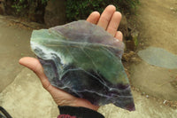 Polished Watermelon Fluorite Slices x 2 From Uis, Namibia - Toprock Gemstones and Minerals 