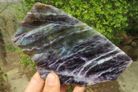 Polished Watermelon Fluorite Slices x 2 From Uis, Namibia - Toprock Gemstones and Minerals 