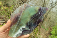 Polished Watermelon Fluorite Slices x 2 From Uis, Namibia - Toprock Gemstones and Minerals 
