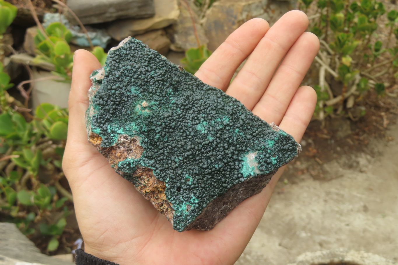 Natural Botryoidal Malachite Specimens x 6 From Congo - Toprock Gemstones and Minerals 