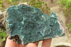 Natural Botryoidal Malachite Specimens x 6 From Congo - Toprock Gemstones and Minerals 