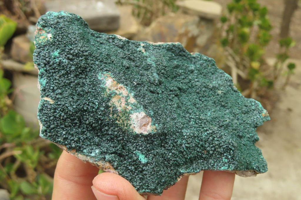 Natural Botryoidal Malachite Specimens x 6 From Congo - Toprock Gemstones and Minerals 