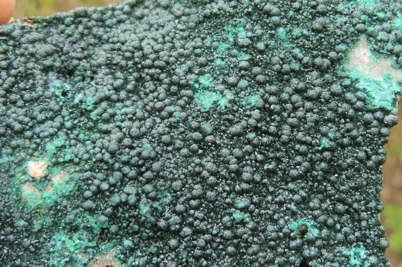 Natural Botryoidal Malachite Specimens x 6 From Congo - Toprock Gemstones and Minerals 