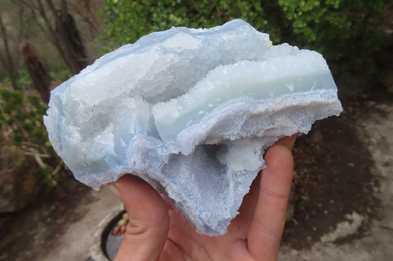 Natural Etched Blue Chalcedony Specimens x 2 From Nsanje, Malawi - Toprock Gemstones and Minerals 