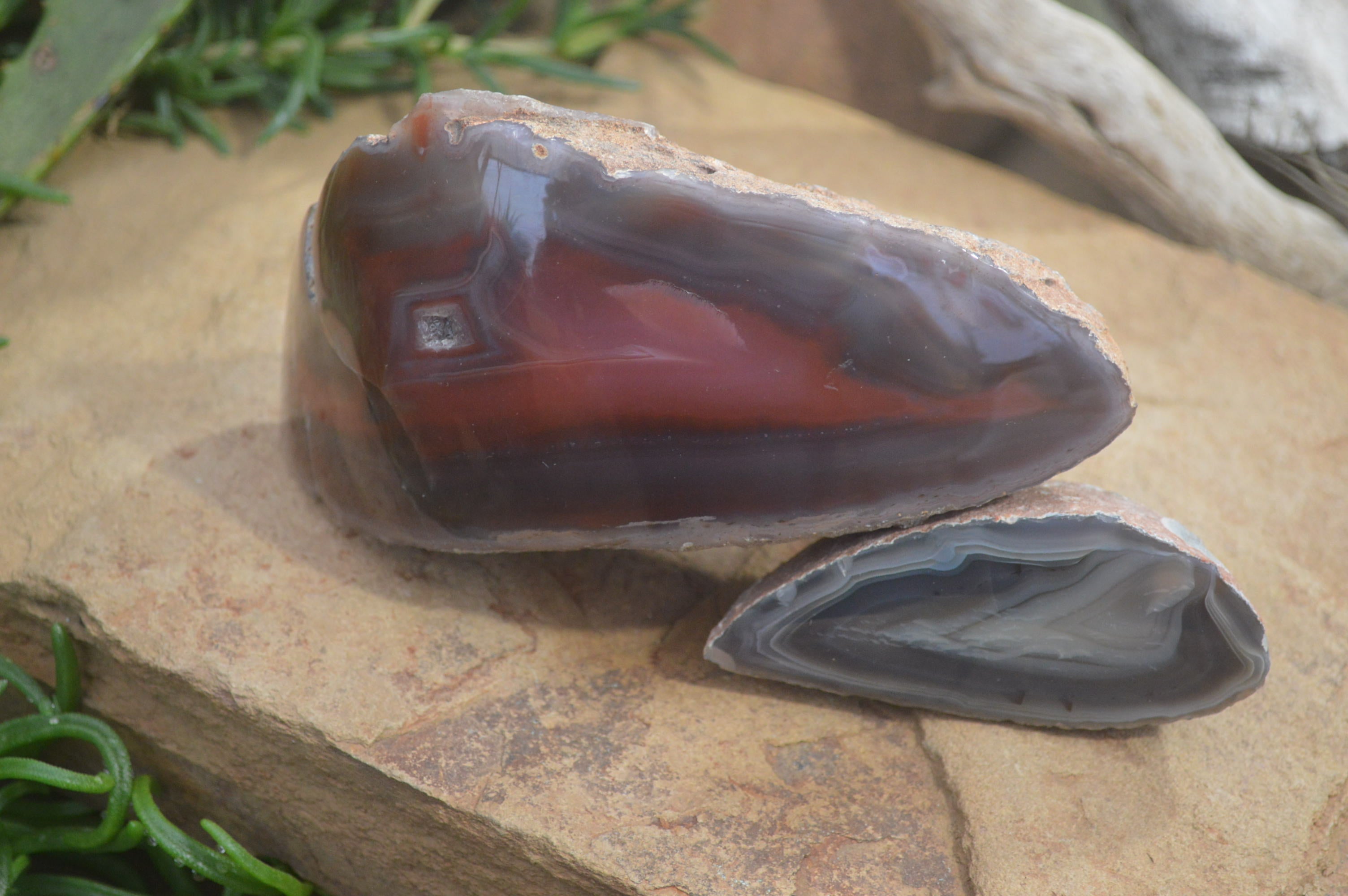 Polished Red Sashe River Agate Nodules x 2 From Sashe River, Zimbabwe - Toprock Gemstones and Minerals 