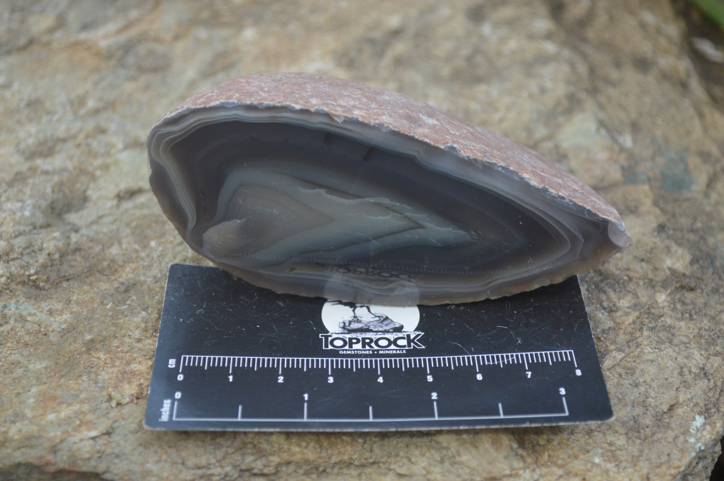 Polished Red Sashe River Agate Nodules x 2 From Sashe River, Zimbabwe - Toprock Gemstones and Minerals 