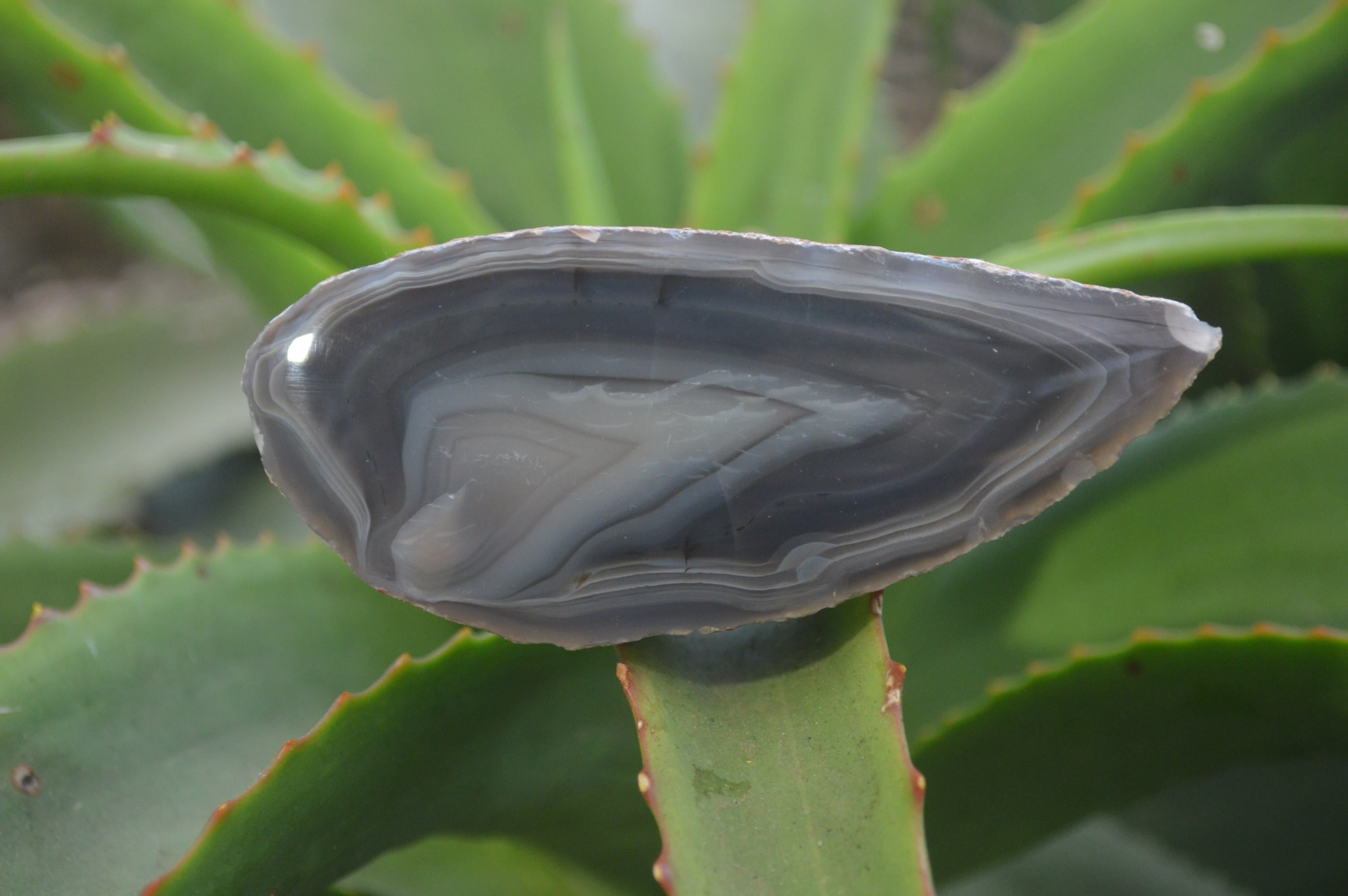 Polished Red Sashe River Agate Nodules x 2 From Sashe River, Zimbabwe - Toprock Gemstones and Minerals 