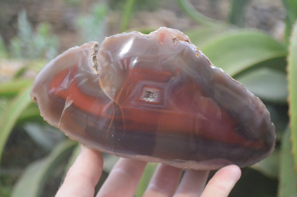 Polished Red Sashe River Agate Nodules x 2 From Sashe River, Zimbabwe - Toprock Gemstones and Minerals 