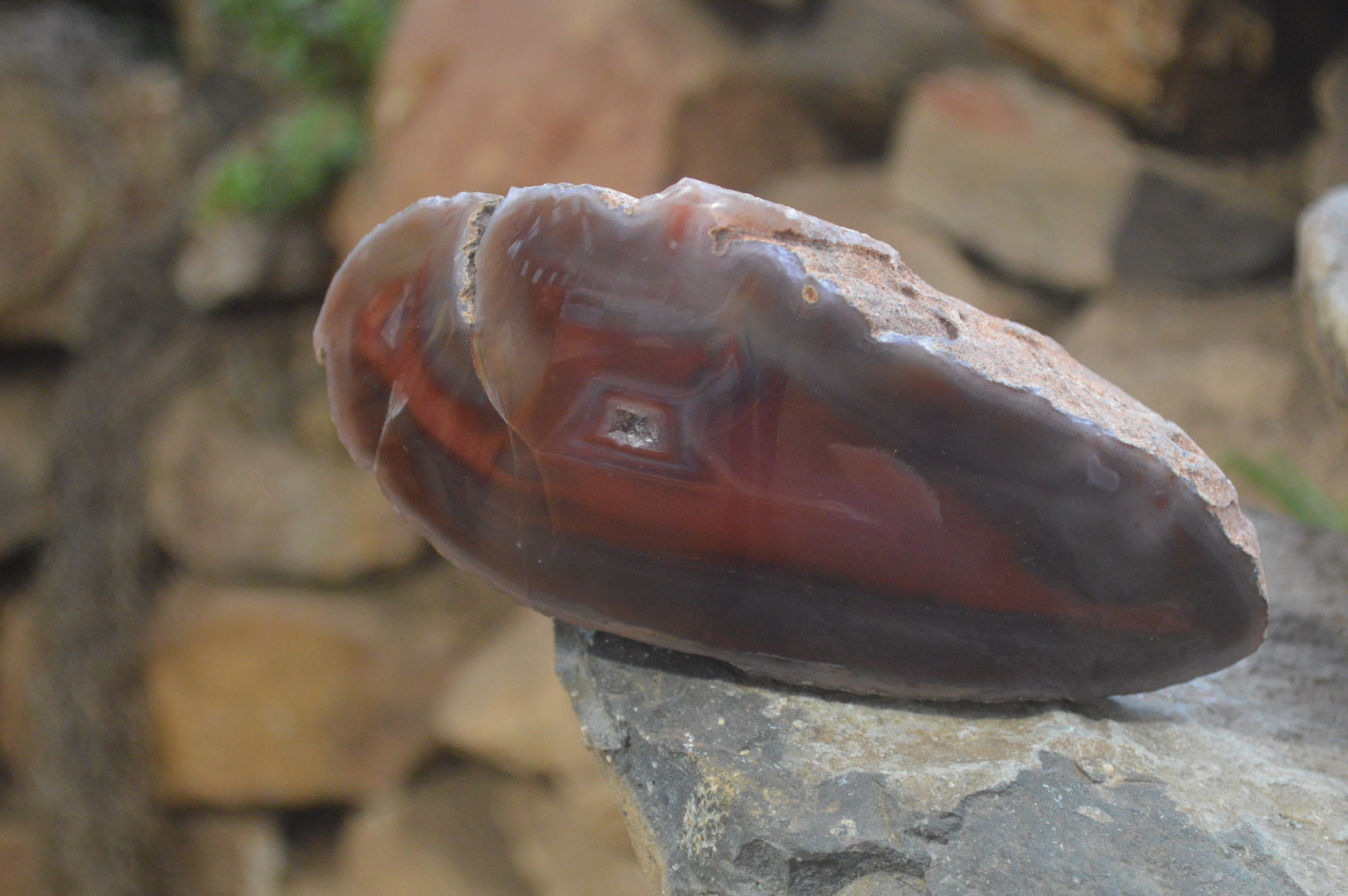 Polished Red Sashe River Agate Nodules x 2 From Sashe River, Zimbabwe - Toprock Gemstones and Minerals 