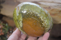 Polished Green Opal Standing Free Forms x 2 From Antsirabe, Madagascar - Toprock Gemstones and Minerals 