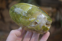 Polished Green Opal Standing Free Forms x 2 From Antsirabe, Madagascar - Toprock Gemstones and Minerals 