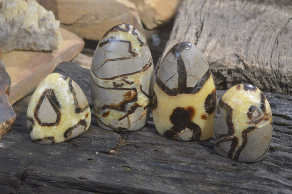 Polished Septerye Standing Free Forms x 4 From Mahajanga, Madagascar - Toprock Gemstones and Minerals 