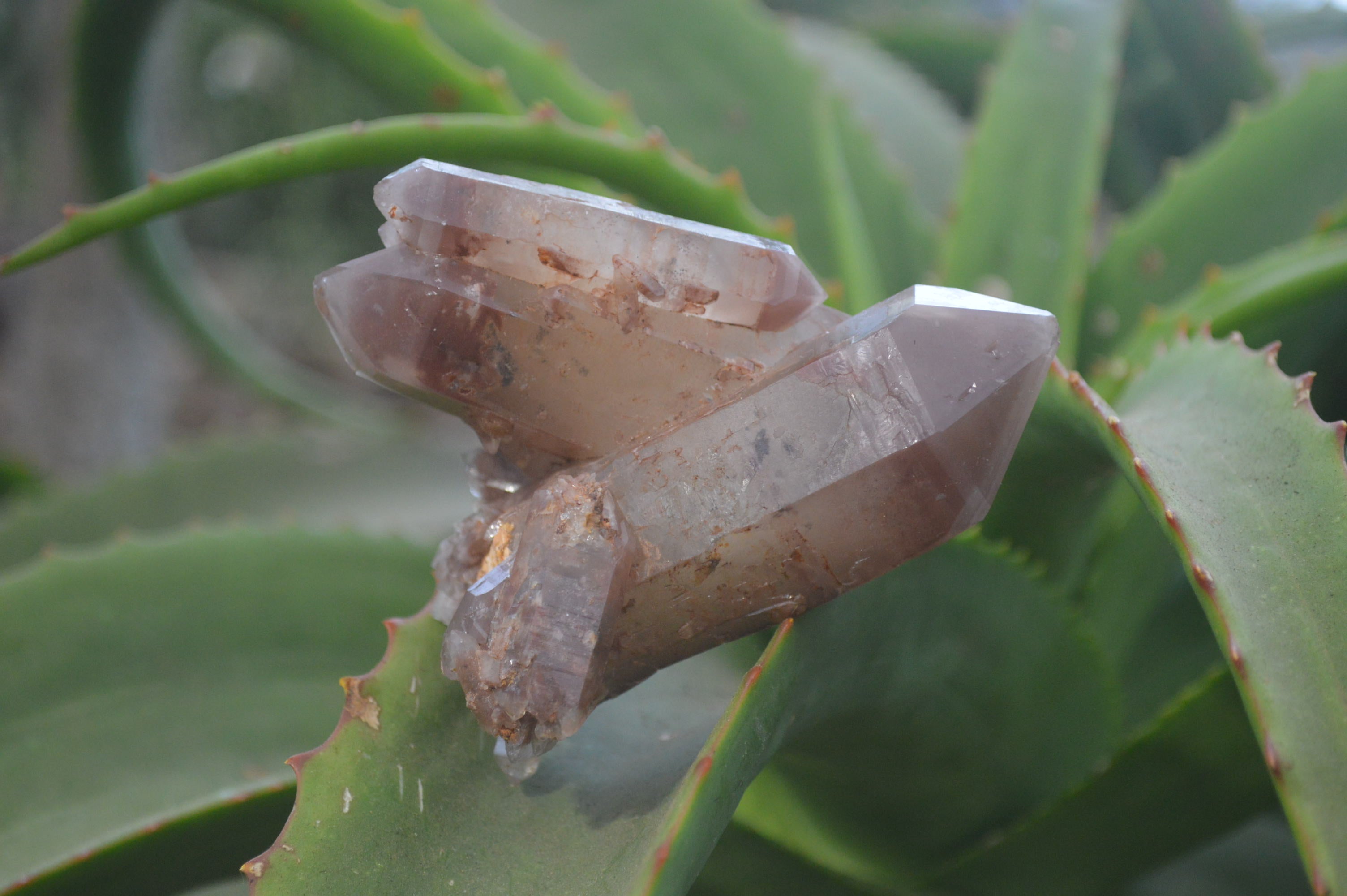 Natural Hematoid Quartz Specimens x 3 From Karoi, Zimbabwe - Toprock Gemstones and Minerals 