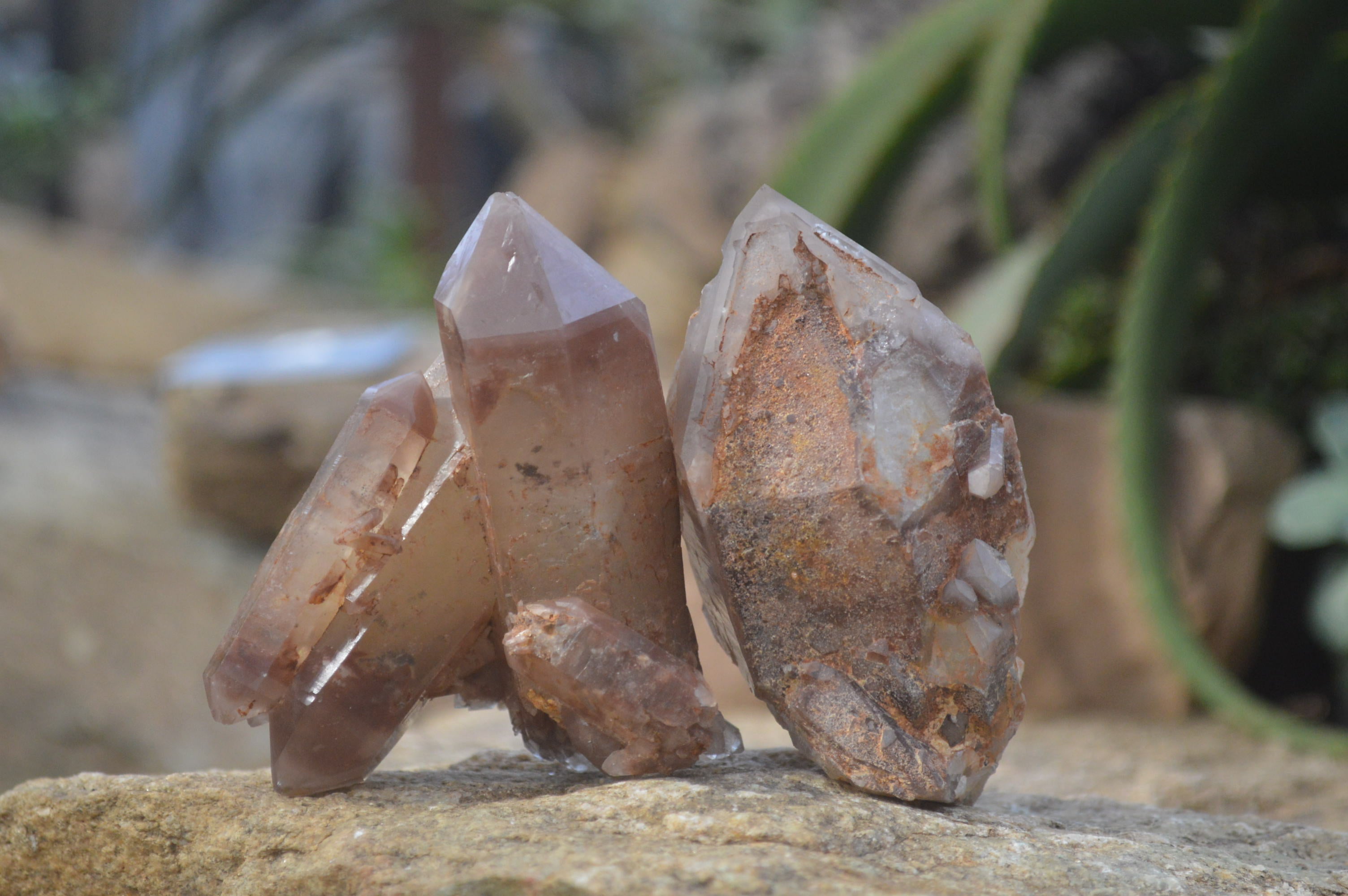 Natural Hematoid Quartz Specimens x 3 From Karoi, Zimbabwe - Toprock Gemstones and Minerals 
