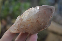 Natural Hematoid Quartz Specimens x 3 From Karoi, Zimbabwe - Toprock Gemstones and Minerals 