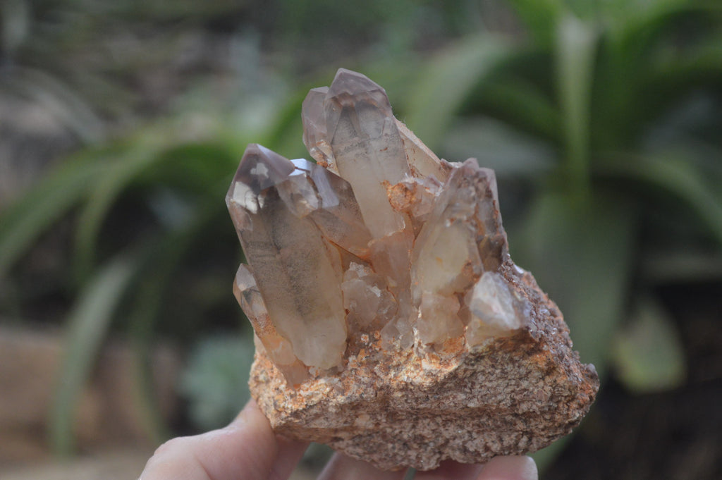 Natural Hematoid Quartz Specimens x 3 From Karoi, Zimbabwe - Toprock Gemstones and Minerals 