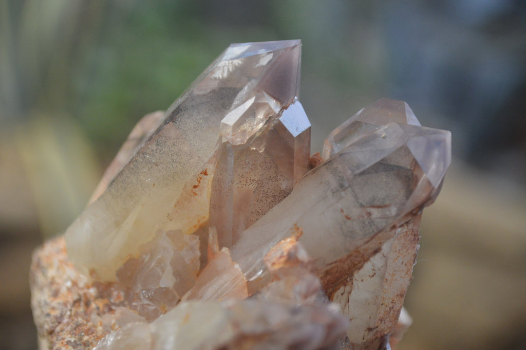 Natural Hematoid Quartz Specimens x 3 From Karoi, Zimbabwe - Toprock Gemstones and Minerals 