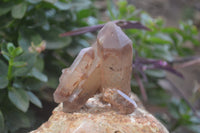 Natural Hematoid Quartz Specimens x 3 From Karoi, Zimbabwe - Toprock Gemstones and Minerals 