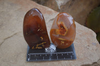 Polished Mixed Tray of Carnelian & Ocean Agate Standing Free Forms & Galet/Palm Stones From Madagascar - Toprock Gemstones and Minerals 