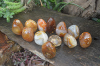 Polished Mixed Tray of Carnelian & Ocean Agate Standing Free Forms & Galet/Palm Stones From Madagascar - Toprock Gemstones and Minerals 