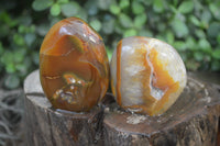 Polished Mixed Tray of Carnelian & Ocean Agate Standing Free Forms & Galet/Palm Stones From Madagascar - Toprock Gemstones and Minerals 