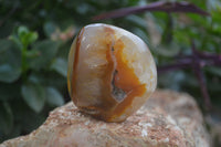 Polished Mixed Tray of Carnelian & Ocean Agate Standing Free Forms & Galet/Palm Stones From Madagascar - Toprock Gemstones and Minerals 