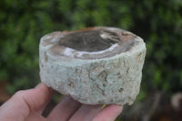 Polished Petrified Wood Branch Pieces X 3 From Gokwe, Zimbabwe - Toprock Gemstones and Minerals 