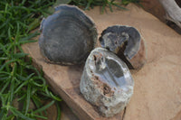 Polished Petrified Wood Branch Pieces X 3 From Gokwe, Zimbabwe - Toprock Gemstones and Minerals 