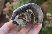 Polished Petrified Wood Branch Pieces X 3 From Gokwe, Zimbabwe - Toprock Gemstones and Minerals 
